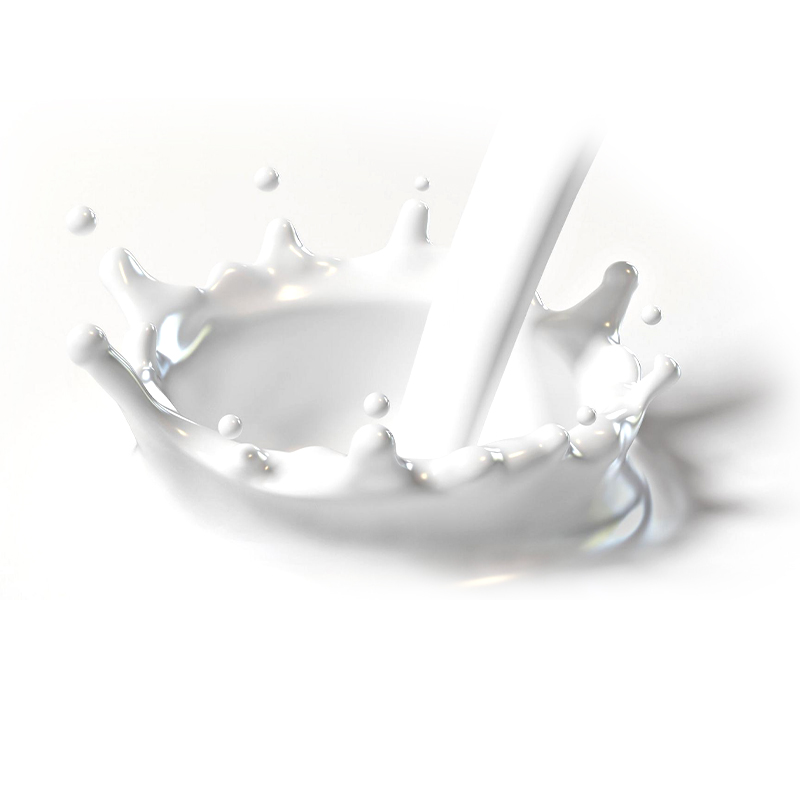 Cacboxylated SBr latex: một thành phần quan trọng trong việc chống thấm